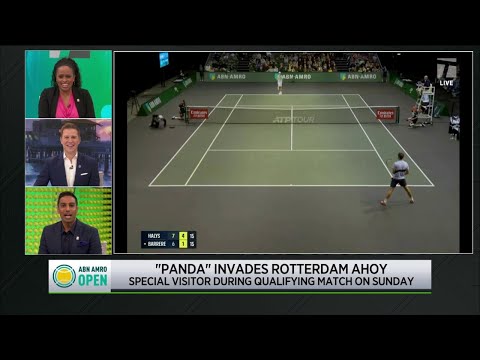 Panda Invades Rotterdam Match | Tennis Channel Live 2023